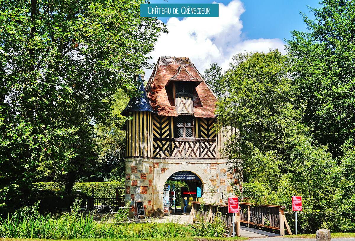 chateau-de-crevecoeur-fr-56908882_0.jpg